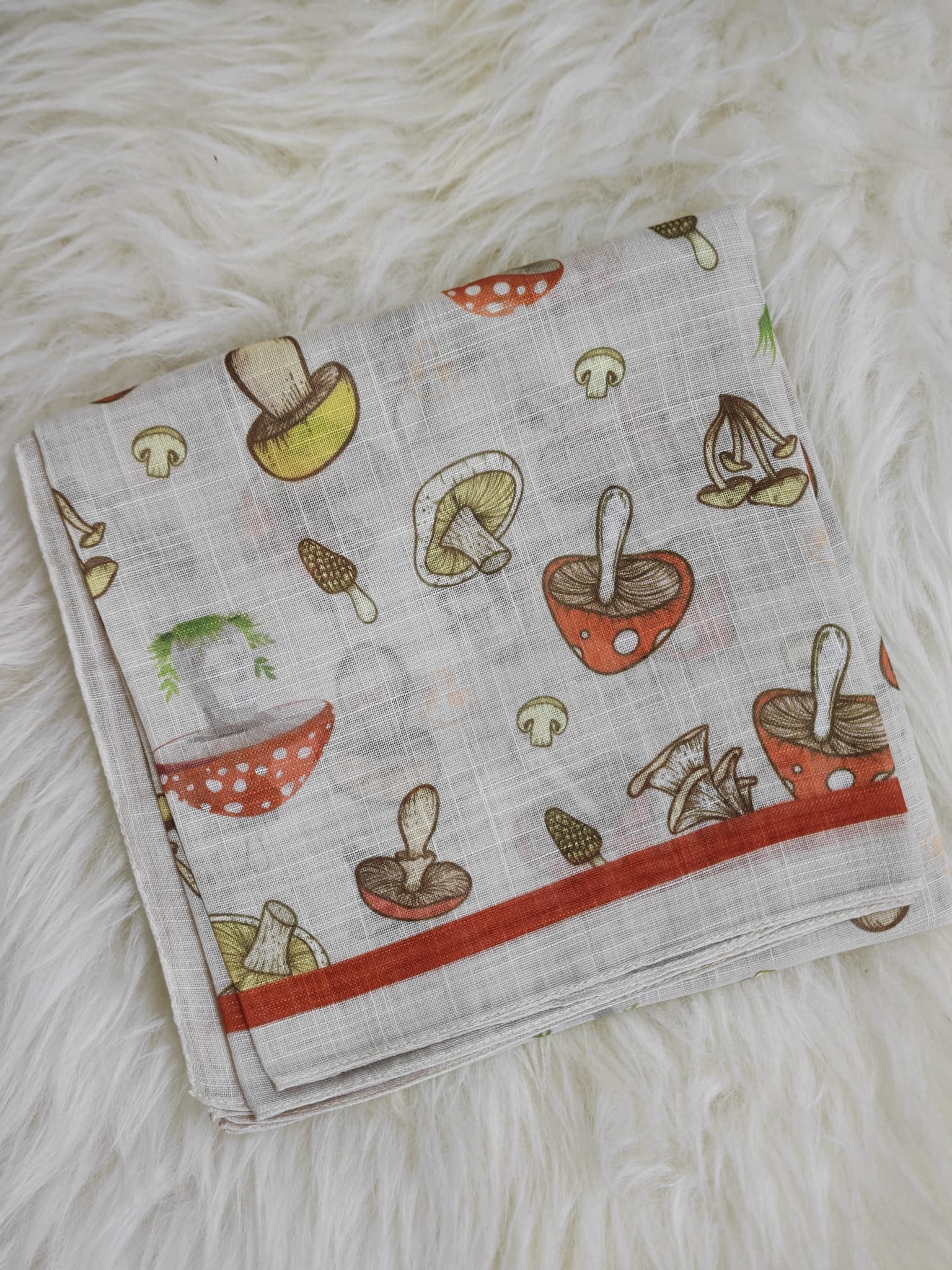 59f8423c-a027-445d-bdbc-f420ab8b33b9 SEVİMLİ MANTARLAR - Görsel 1